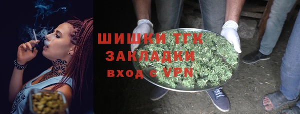 тгк Дмитриев