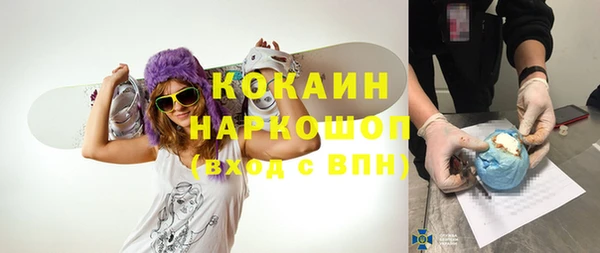 тгк Дмитриев