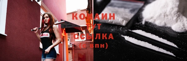 тгк Дмитриев