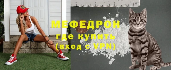 тгк Дмитриев