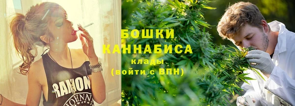 тгк Дмитриев