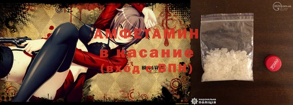 тгк Дмитриев
