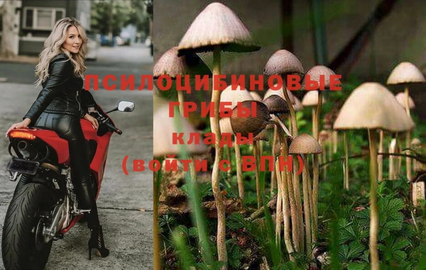 меф Дмитровск