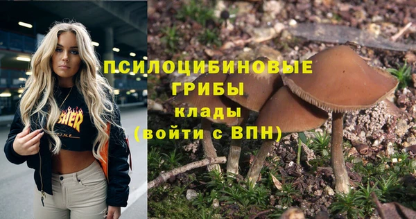 меф Дмитровск