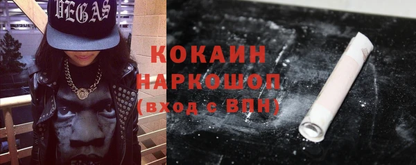 шишки Горнозаводск