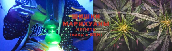 тгк Дмитриев